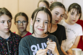 Stefan Zweig Realschule Endingen