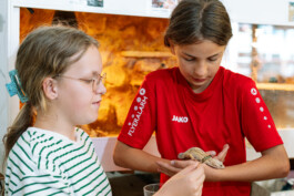 Stefan Zweig Realschule Endingen