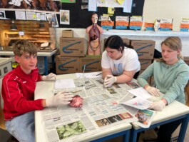 Stefan Zweig Realschule Endingen