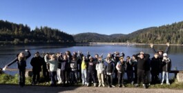 Stefan Zweig Realschule Endingen