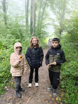 Stefan Zweig Realschule Endingen