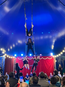 Stefan Zweig Realschule Endingen