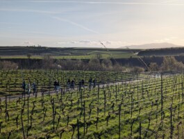 Stefan Zweig Realschule Endingen