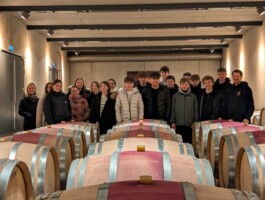 Stefan Zweig Realschule Endingen