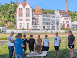 Stefan Zweig Realschule Endingen